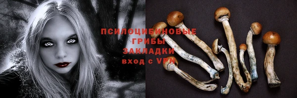 ALPHA-PVP Баксан