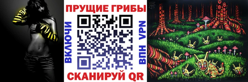 Галлюциногенные грибы MAGIC MUSHROOMS  площадка официальный сайт  Теберда  ОМГ ОМГ ТОР 